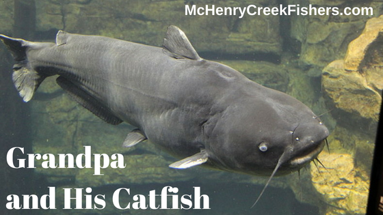 blue catfish record