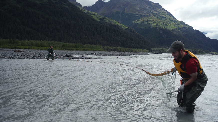 seine net alternative fishing methods